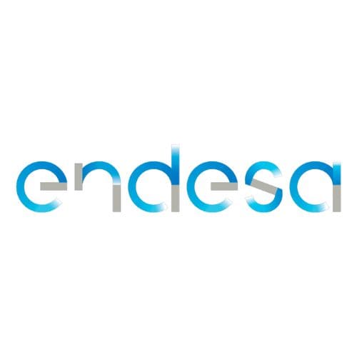 6 Logo Endesa
